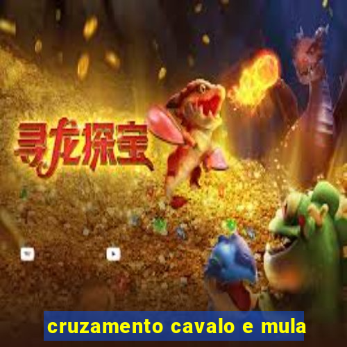 cruzamento cavalo e mula